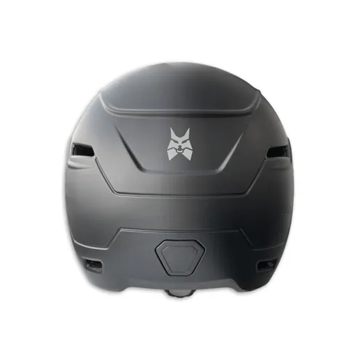 Helmet Visor Pro (L/XL)
